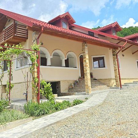 Casa Hera Călimăneşti Exterior foto