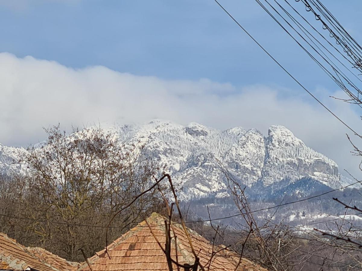 Casa Hera Călimăneşti Exterior foto