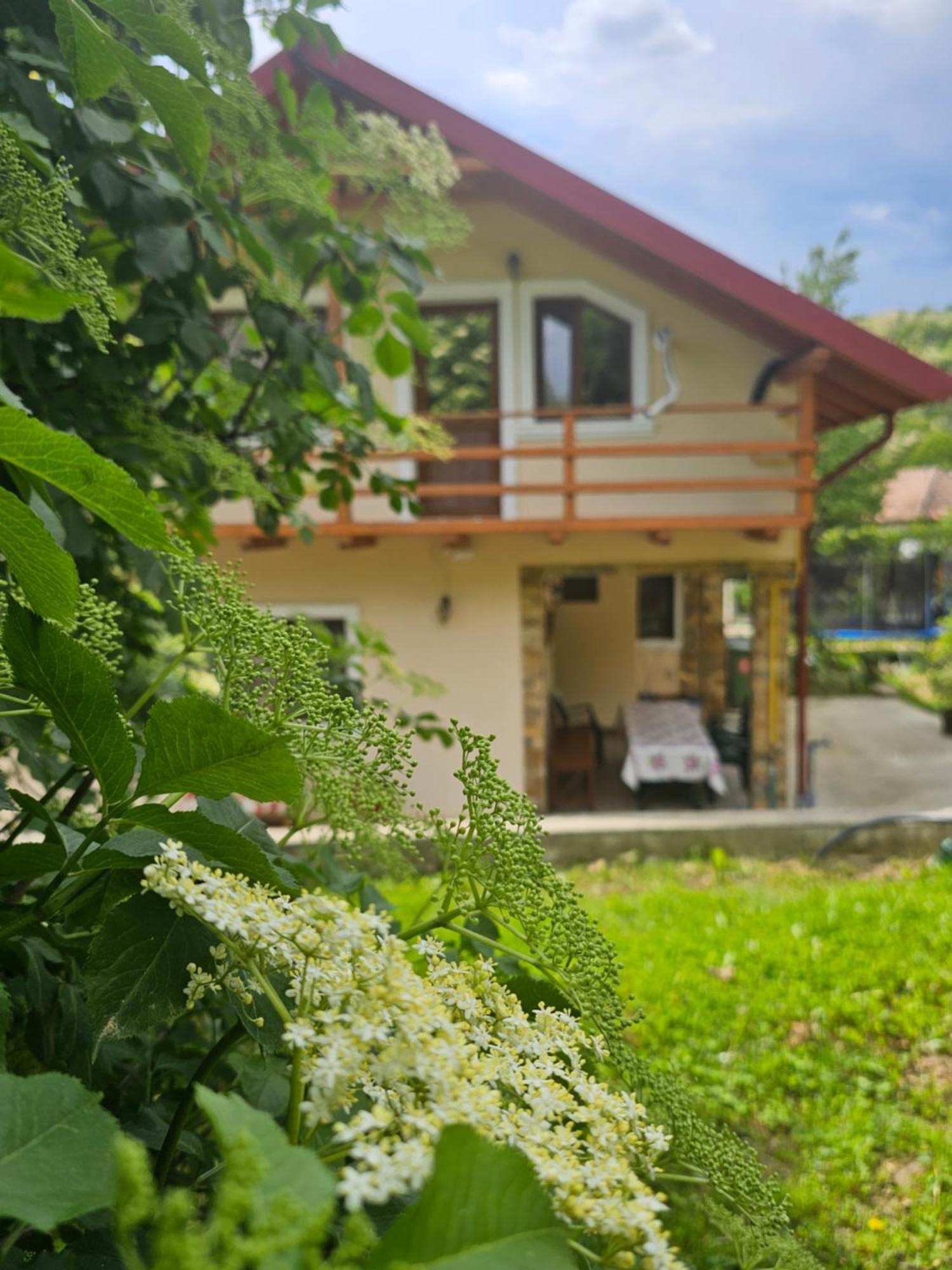 Casa Hera Călimăneşti Exterior foto