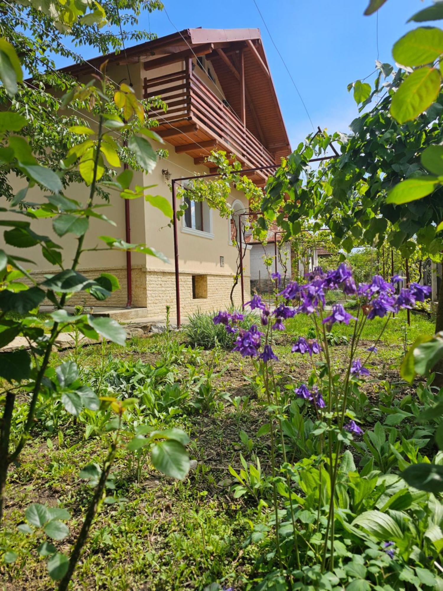 Casa Hera Călimăneşti Exterior foto